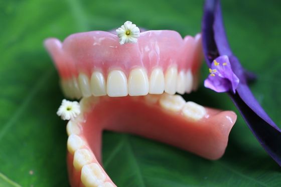 Bps confortables stables de dentier partiel acrylique de dentier