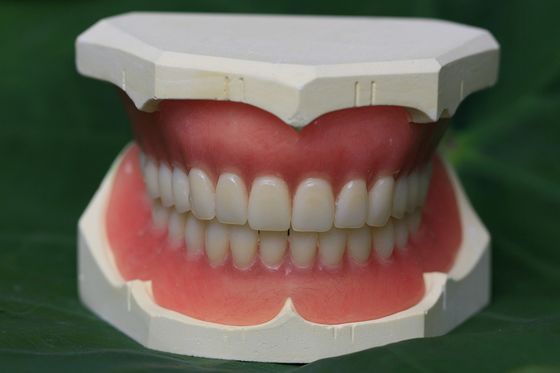 Dentier partiel acrylique immédiat du dentier ISO13485