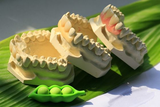 Dentier invisible flexible
