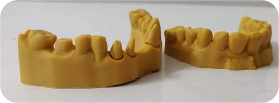 Modèle dentaire composé de l'impression 3D de résine photosensible du DAO FAO