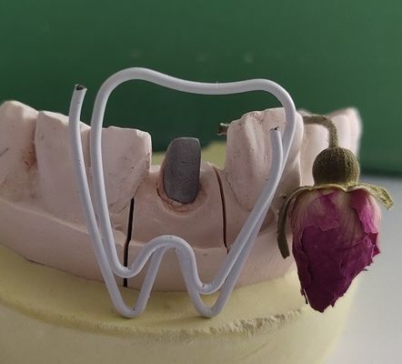 Courrier et noyau dentaires en métal après traitement Endodontic