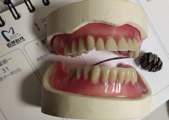 Dentier partiel acrylique immédiat du dentier ISO13485