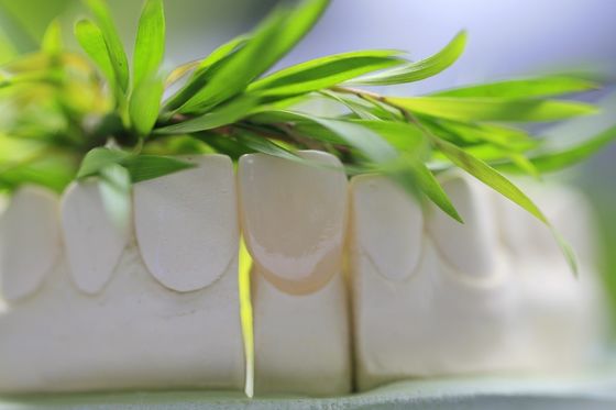 Couronne dentaire en céramique en verre permanent naturel pour les dents antérieures